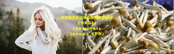 тгк Верея