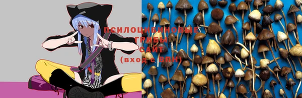 круглые Верхний Тагил