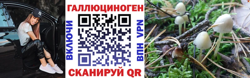 даркнет какой сайт  MEGA сайт  Галлюциногенные грибы Psilocybine cubensis  Курган  как найти  